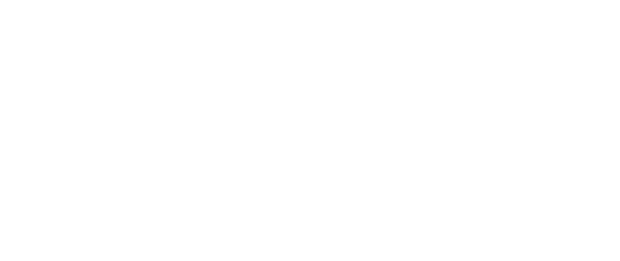 SKNN Aesthetics Logo
